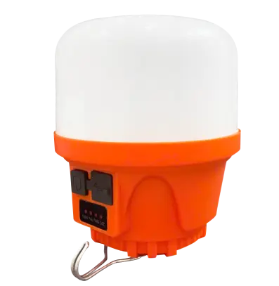 Bóng sạc tích điện EV-BT100