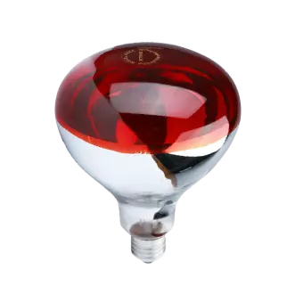 Bóng sưởi hồng ngoại -  - EV-BS01